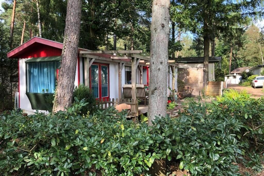Gezellig Chalet Op De Veluwe Doornspijk Zewnętrze zdjęcie