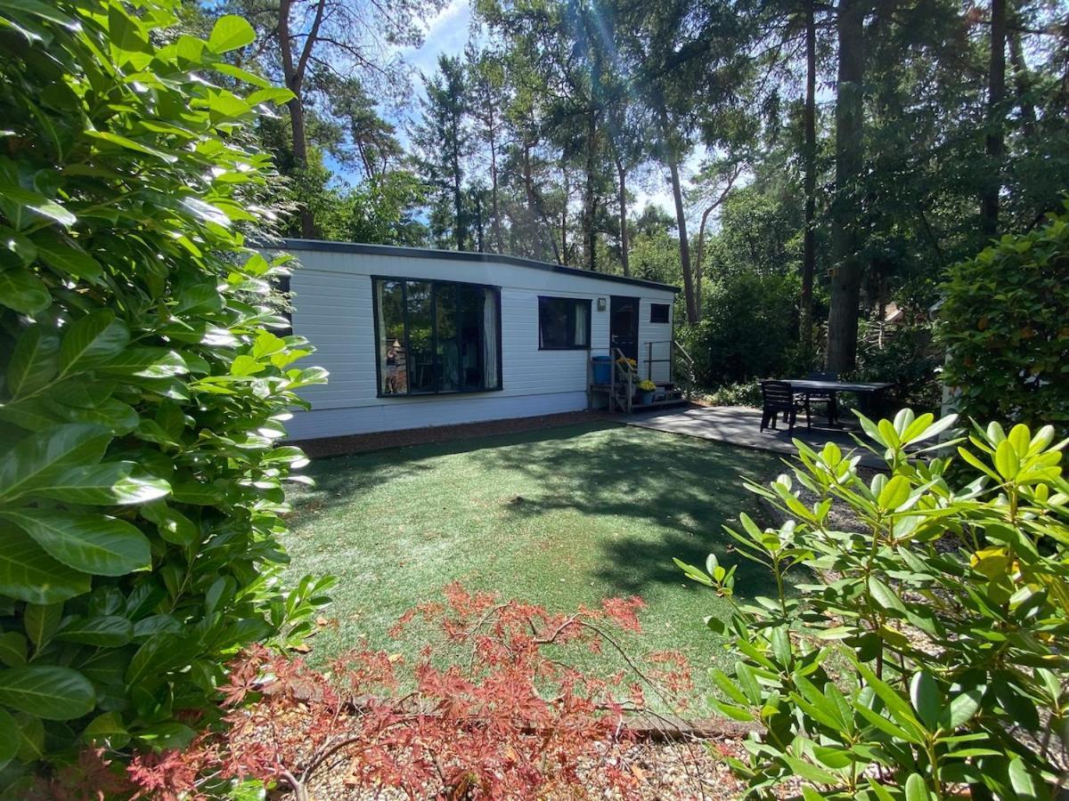 Gezellig Chalet Op De Veluwe Doornspijk Zewnętrze zdjęcie