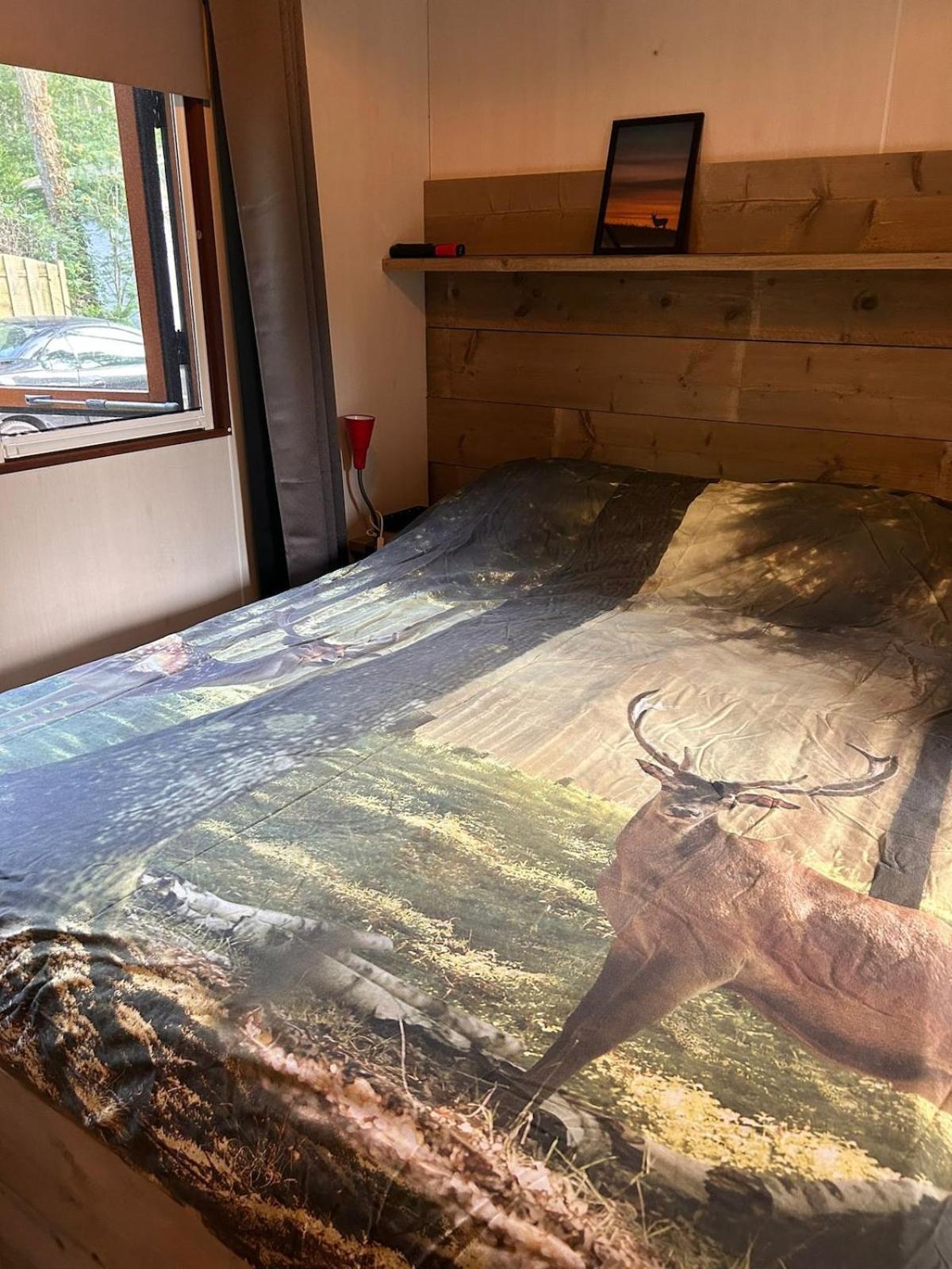 Gezellig Chalet Op De Veluwe Doornspijk Zewnętrze zdjęcie